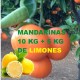 10 Kg DE MANDARINAS+5Kg DE LIMOMES