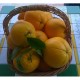 Naranjas de Mesa. 15 Kg