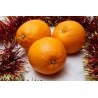Naranjas de Mesa. 15 Kg