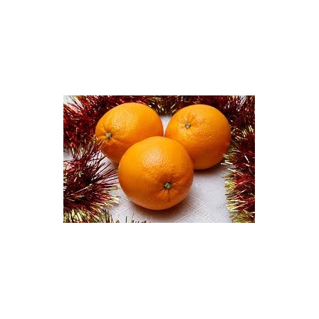 Naranjas de Mesa 5 Kg