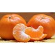 Mandarinas - Clemenvillas. Caja de 20 Kg.